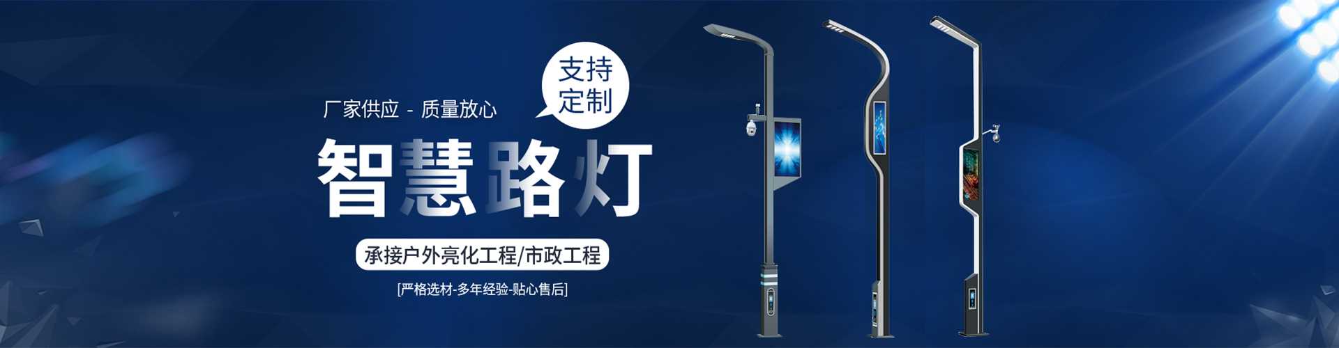 阜新蒙古族自治县太阳能路灯定制厂家
