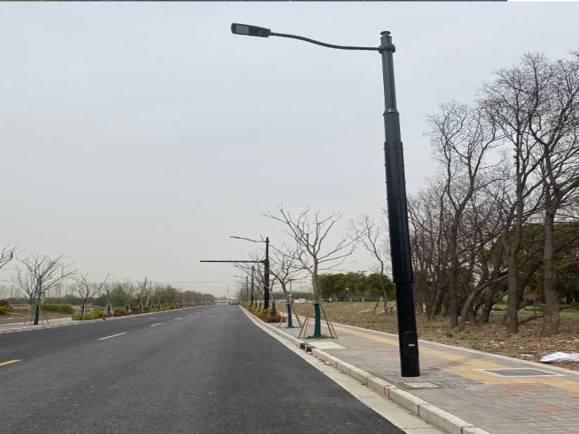 阜新蒙古族自治县上海综合杆 太阳能路灯工程
